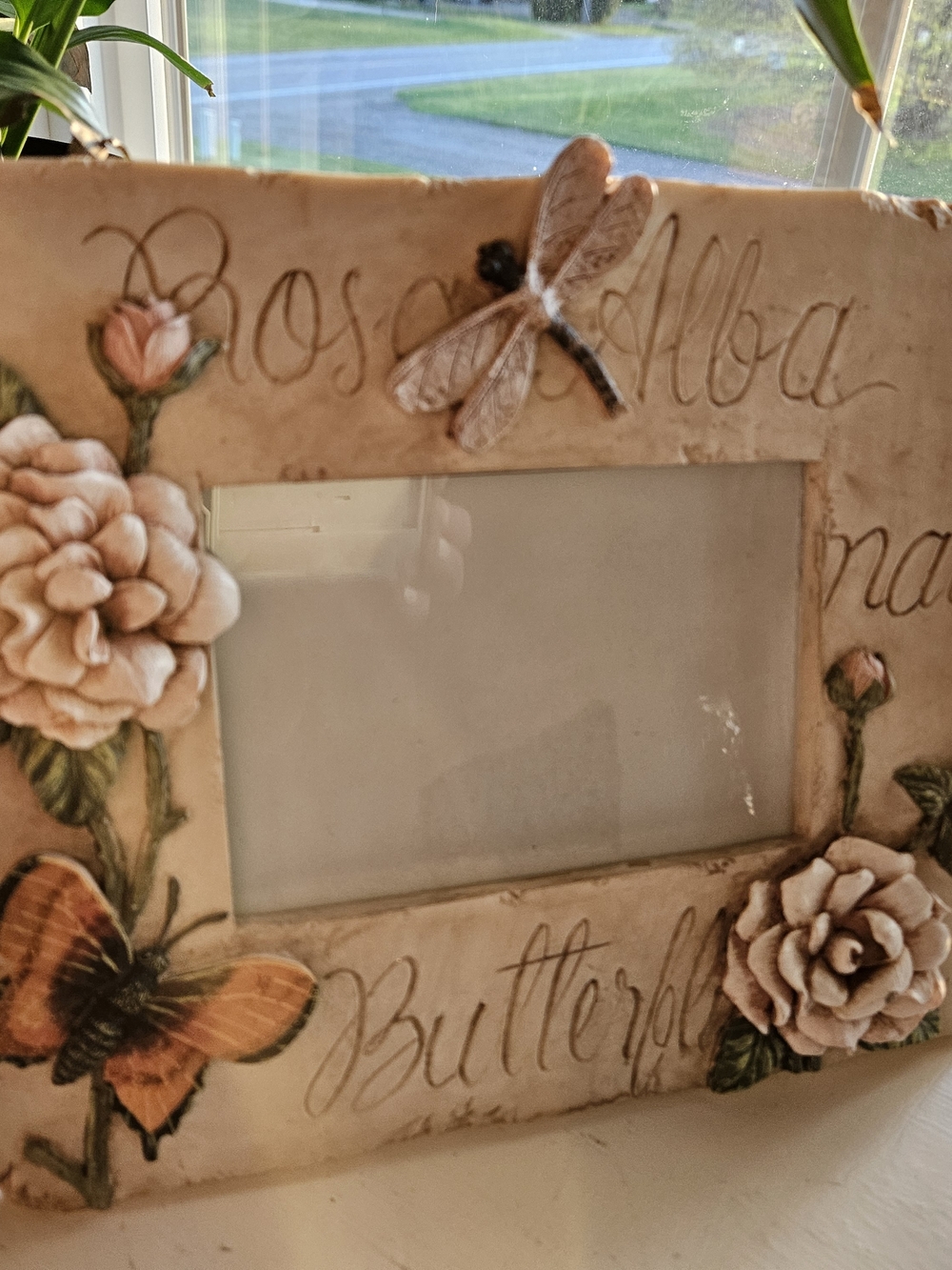 Floral Dragonfly Picture Frame in Cream and Pink